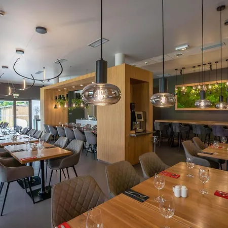 Ibis Plzen