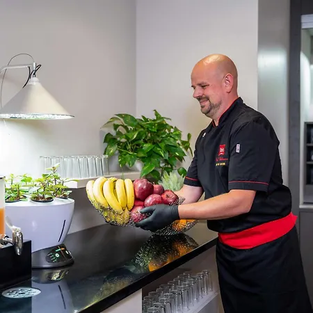 Ibis Plzen