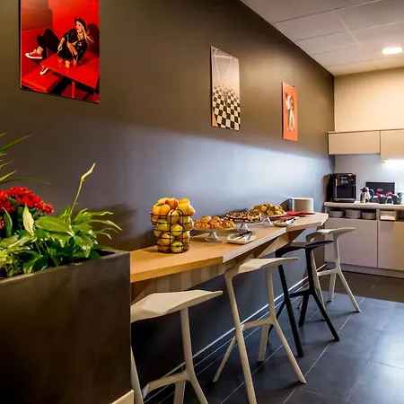 Ibis Plzen